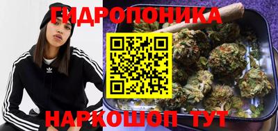 не бодяженный Будённовск