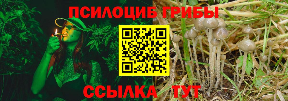 Псилоцибиновые грибы Magic Shrooms  Псилоцибиновые грибы Psilocybe  Кызыл  Вход с VPN 