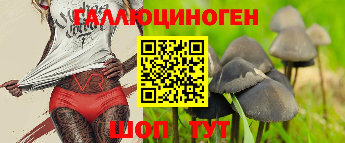 Галлюциногенные грибы Magic Shrooms Кызыл